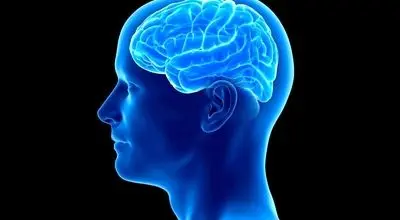 با مصرف این ویتامین، با آلزایمر خداحافظی کنید!
