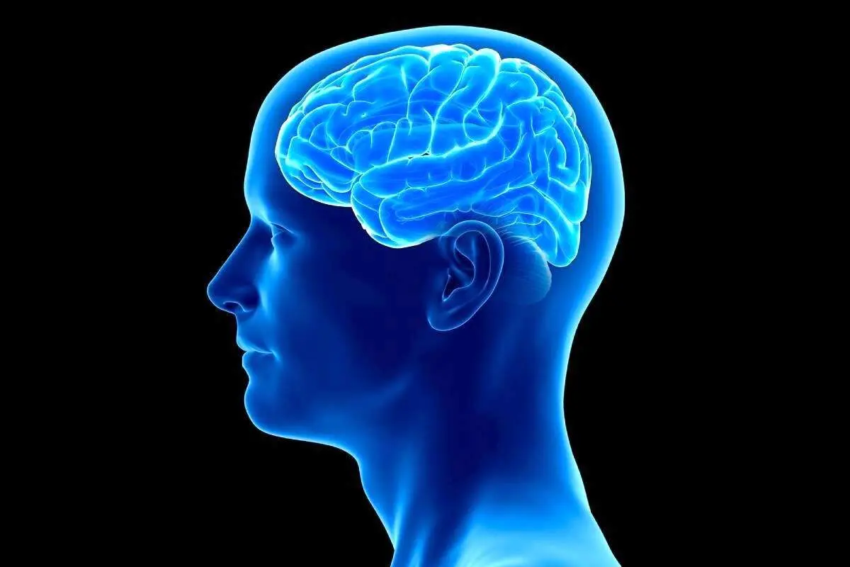با مصرف این ویتامین، با آلزایمر خداحافظی کنید!
