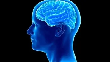 با مصرف این ویتامین، با آلزایمر خداحافظی کنید!
