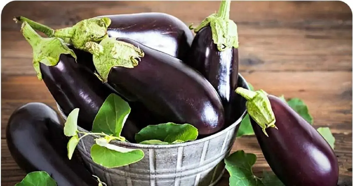 مصرف بی‌رویه بادمجان؛ تهدیدی برای سلامت؟


