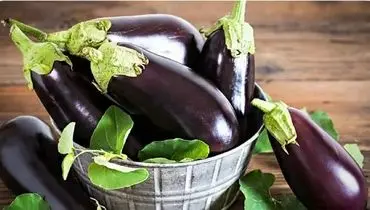 مصرف بی‌رویه بادمجان؛ تهدیدی برای سلامت؟


