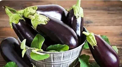 مصرف بی‌رویه بادمجان؛ تهدیدی برای سلامت؟

