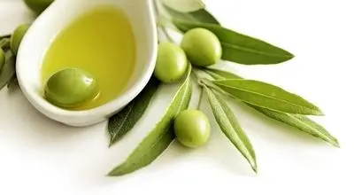فواید معجزه آسای برگ زیتون برای سلامتی