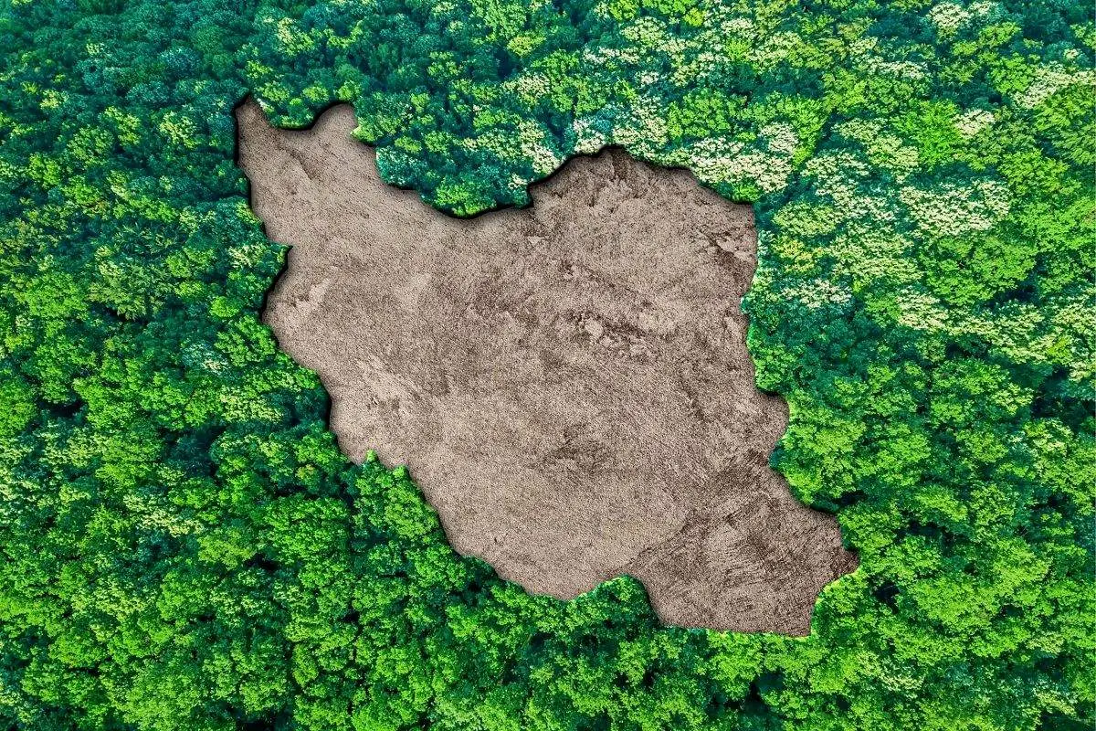 مهمترین رخدادهای محیط زیست کشور در سال گذشته؛ از گرمای بیسابقه تا جدی شدن فرونشست ها!