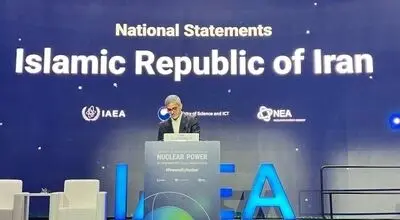 معاون سازمان انرژی اتمی: آژانس باید مستقل و به‌دور از سیاسی‌کاری باشد

