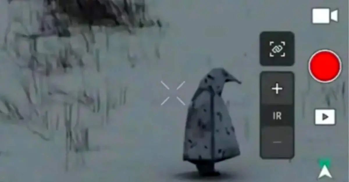 لباس استتار سربازان روسی در خط مقدم خبرساز شد