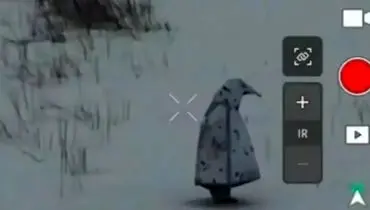 لباس استتار سربازان روسی در خط مقدم خبرساز شد