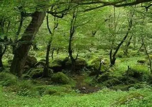 دریای خزر در حال پسروی؛ آب سالی ۸۸ متر عقب می‌رود، برخی مناطق تا ۱۲۰۰ متر