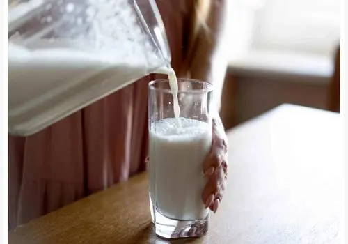 مرغ با سس شیر؛ طعمی متفاوت که بارها دوست دارید تکرار کنید