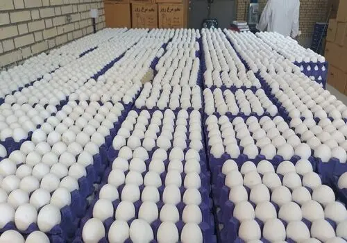 نکاتی جالب و کاربردی درباره تخم مرغ باید بدانید