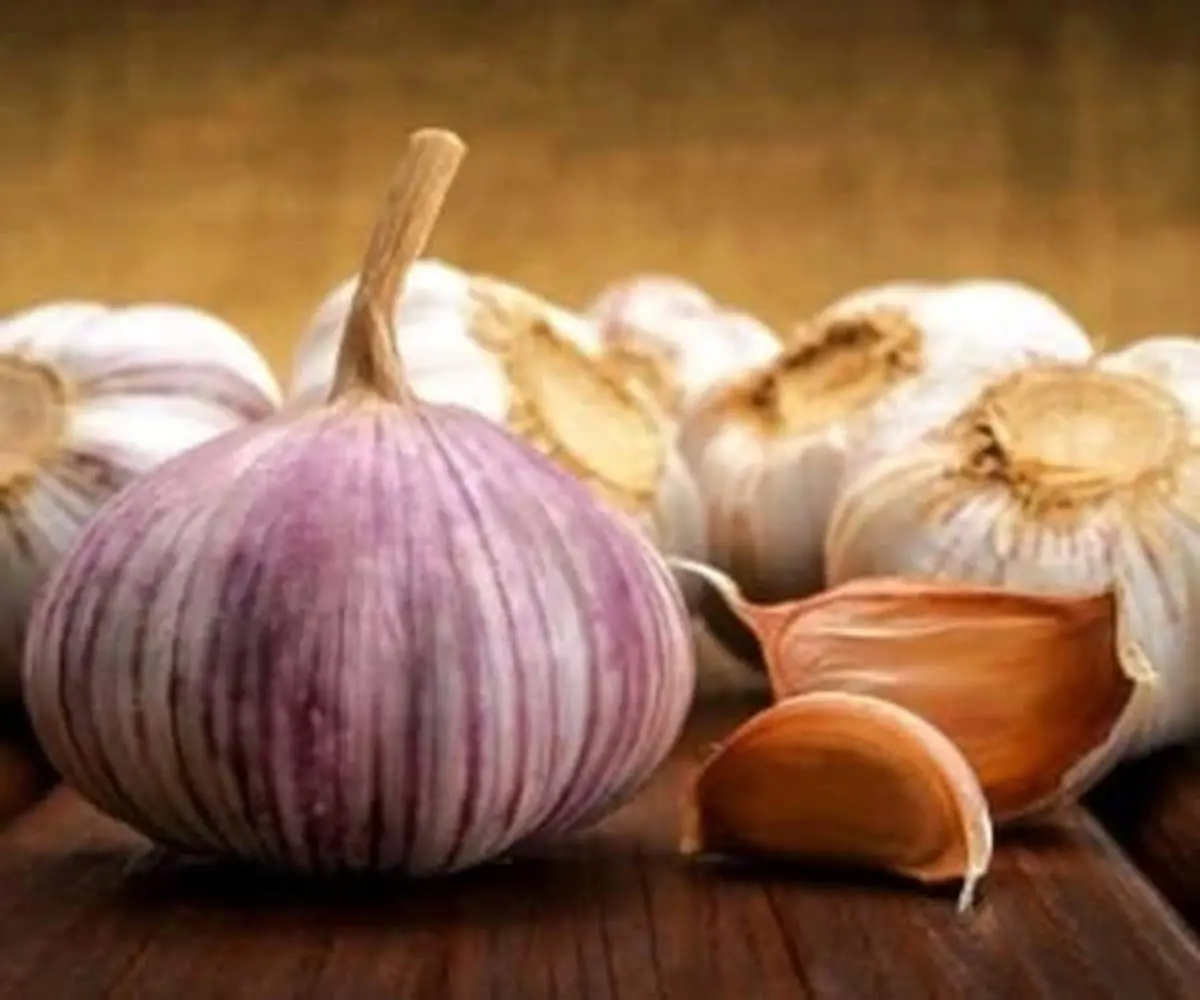 راز سلامتی؛ سیر خام بهتر است یا پخته؟

