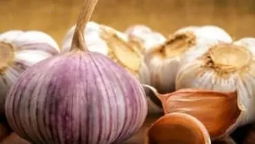 راز سلامتی؛ سیر خام بهتر است یا پخته؟

