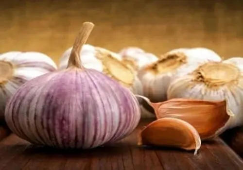 راز سلامتی؛ سیر خام بهتر است یا پخته؟

