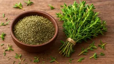 معرفی خواص شگفت انگیز آویشن برای سلامت
