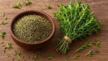 معرفی خواص شگفت انگیز آویشن برای سلامت
