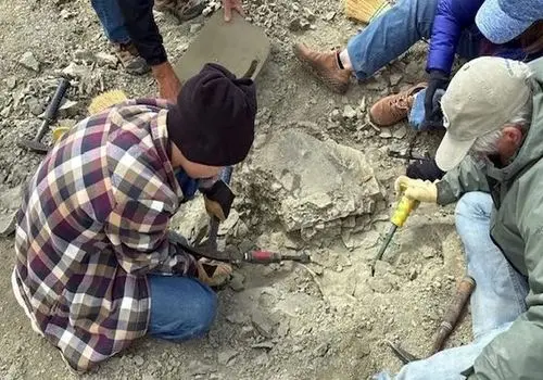  کشف  فسیل لاک‌پشت 48 میلیون‌ساله  توسط  پسر 11 ساله + عکس
