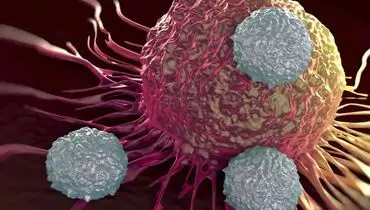 از پیشگیری و غربالگری تا بازتوانی در خصوص سرطان‌های شایع بانوان