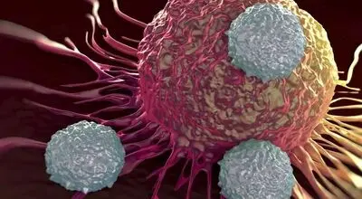 پادتن‌های خودایمنی چگونه به مقابله با سرطان کمک می‌کنند؟