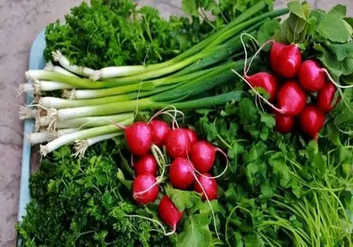 سقوط قیمت سبزیجات؛ سرما بازار را لرزاند