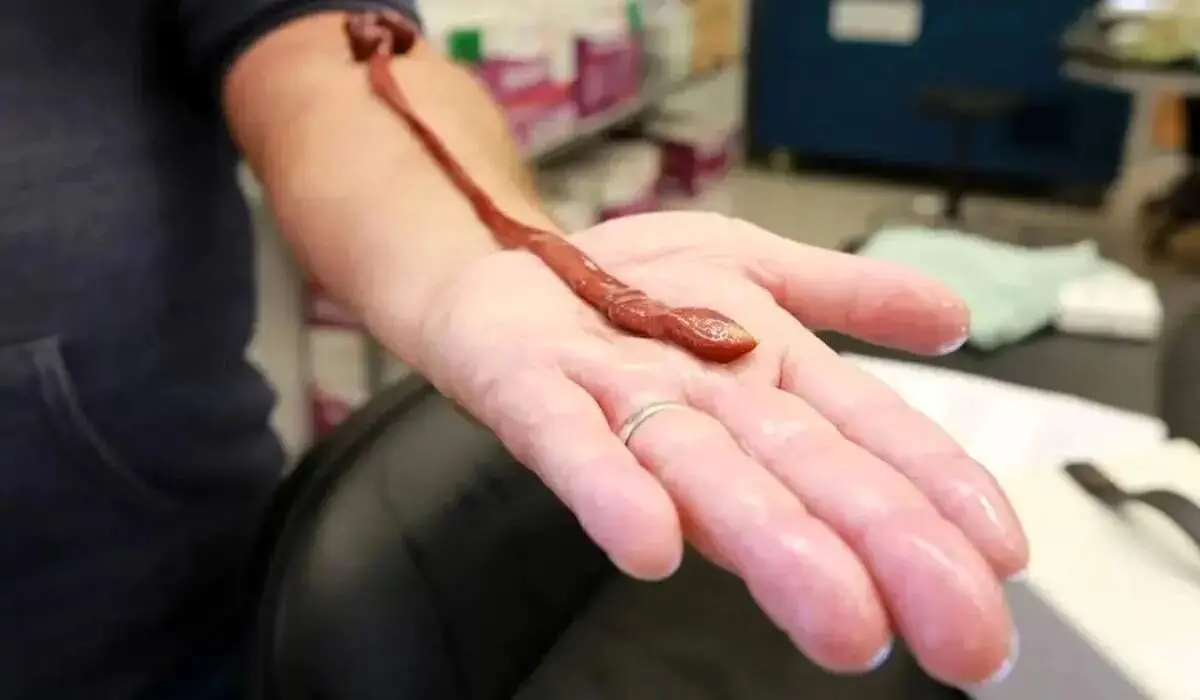 سن عجیب یک کرم آزمایشگاهی خبرساز شد

