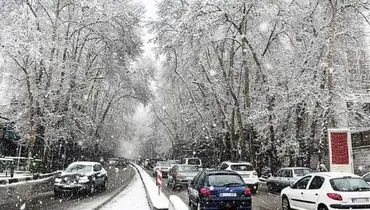 بارش سراسری برف در تهران خبرساز شد