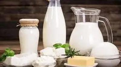 افزایش محصولات لبنی قابل پیش‌بینی بود
