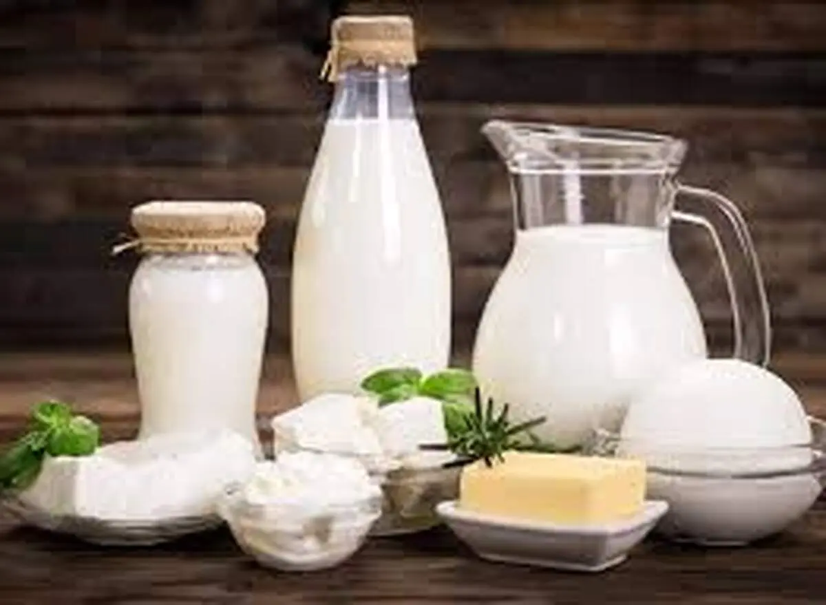 افزایش محصولات لبنی قابل پیش‌بینی بود
