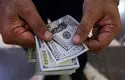 قیمت دلار بازار آزاد امروز شنبه ۲۳ خرداد ۱۴۰۵ +جدول