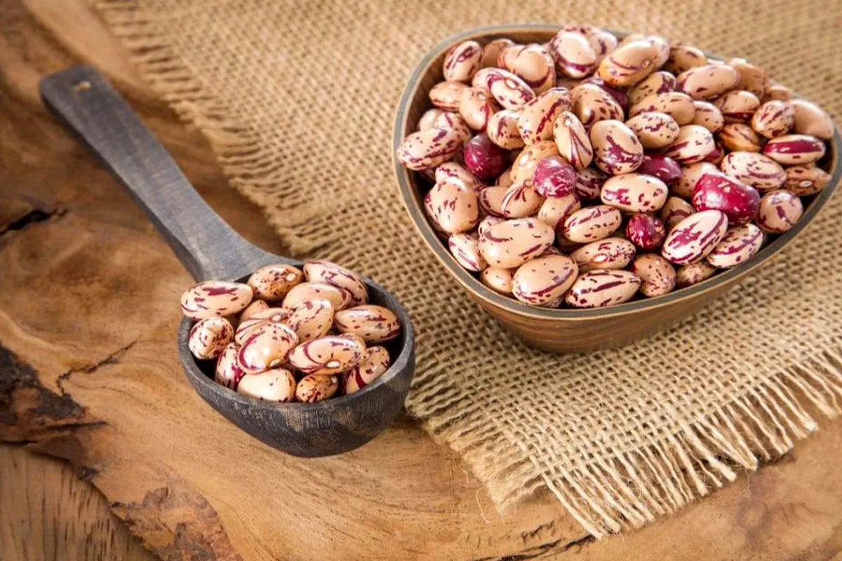 هر کیلو لوبیا چیتی چند؟ اختلاف قیمت تولید داخل و وارداتی