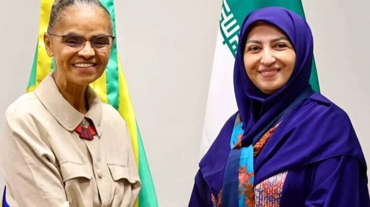  تناقض عجیب در هزینه سفر رئیس سازمان محیط‌زیست به برزیل