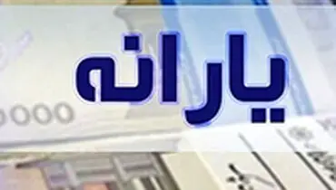 یارانه بیش از ۶.۵ میلیون مشتری بانک ملی ایران پرداخت شد