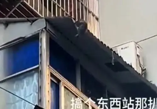 ویدیویی غم انگیز از سقوط یک خانم هنگام تمیزکردن پنجره!
