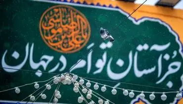 عکس | بارش باران بهاری در بهشت رضوی