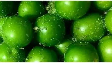 قیمت گوجه سبز سر به فلک گذاشت