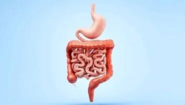 سلامت روده خود را با ماشین حساب محاسبه کنید