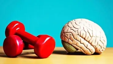 اگر یک هفته ورزش کنید، مغزتان این‌طور واکنش نشان می‌دهد