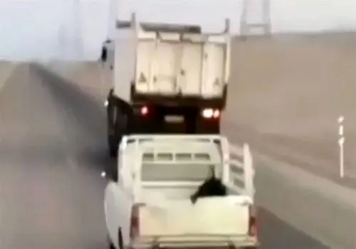 پیامدهای رانندگی بدون گواهینامه را بشناسید!