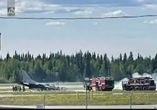 روغن‌های دوستدار قلب: ۵ جایگزین عالی برای کره در رژیم غذایی شما