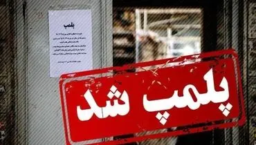 یک موسسه وابسته به سفارت آلمان در تهران پلمب شد
