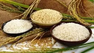 قیمت قطعی برنج مشخص شد | اطلاعات مهم درباره اجرای کالابرگ