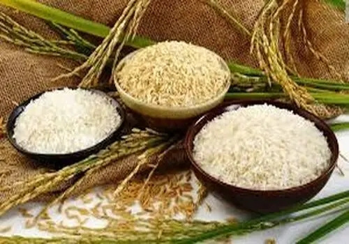 قیمت برنج هندی و پاکستانی مشخص شد