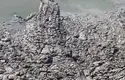 وقتی کروکدیل و مار تا پشت در خانه‌ها می‌آیند؛ زندگی شهری در استرالیا زیر سایه‌ی حیات‌وحش