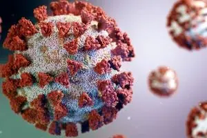  همه چیز درباره کرونای تیغی 