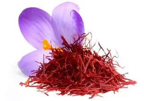 زنگ خطر برای بزرگترین صادرکننده جهان؛ صادرات زعفران ایران ۱۰۰٪ سقوط کرد!