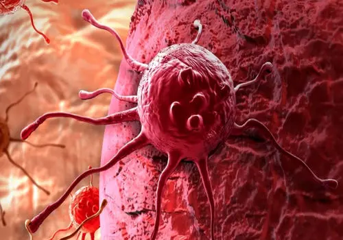 ایرانی ها روزانه چقدر «سرطان» می خورند!