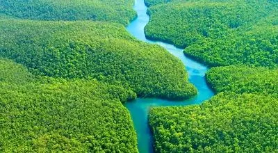 بازگشت آمازون به اقلیم فوق‌استوایی پس از ۱۰ میلیون سال

