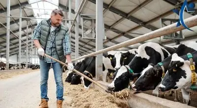 
70 همت برای دامداران؛ مُسکن مالی یا اصلاح سیاستی؟

