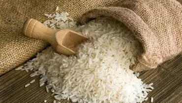 کشت برنج در این استان رسما ممنوع! 