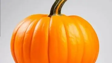 طرز تهیه یک دسر خوشمزه آلمانی با کدو تنبل