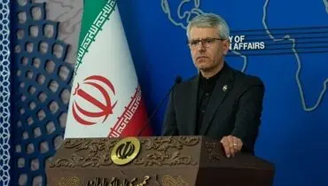 واکنش تند بقائی به اظهارات مارک روته؛ تملق در پیشگاه «پادشاه» از سر ضعف است